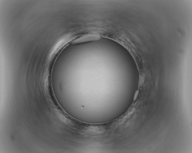X0000115030101200911091351