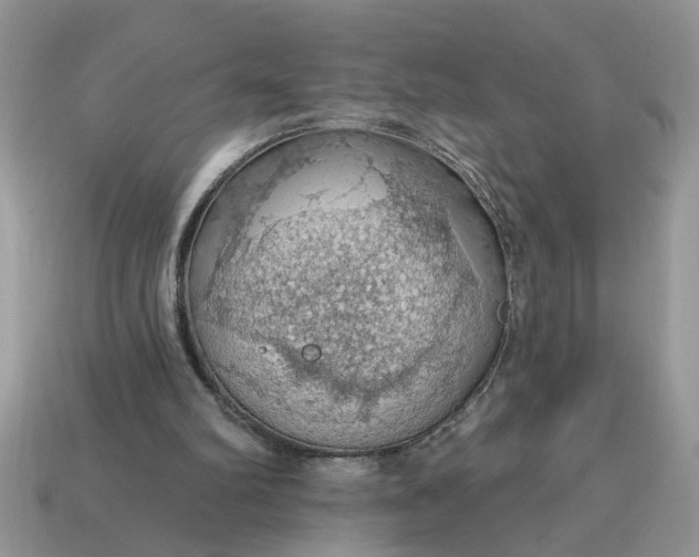 X0000115030102200911091351
