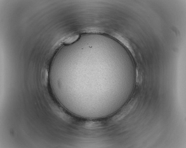 X0000115030109200911091351