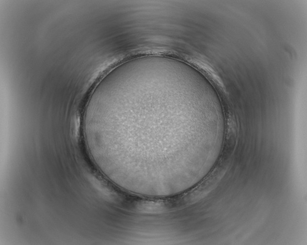 X0000115030110200911091351