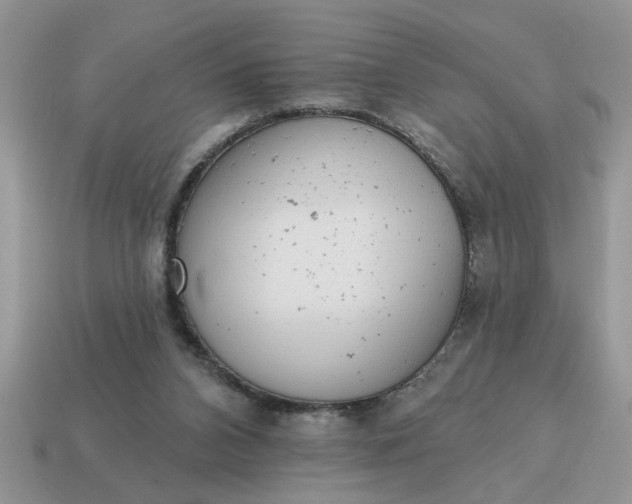 X0000115030112200911091351