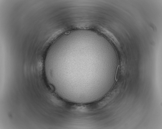 X0000115030113200911091351