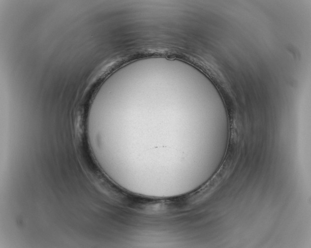 X0000115030116200911091351