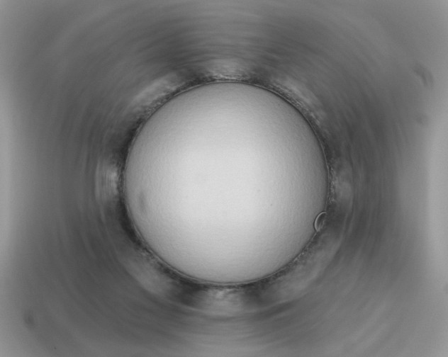 X0000115030117200911091351