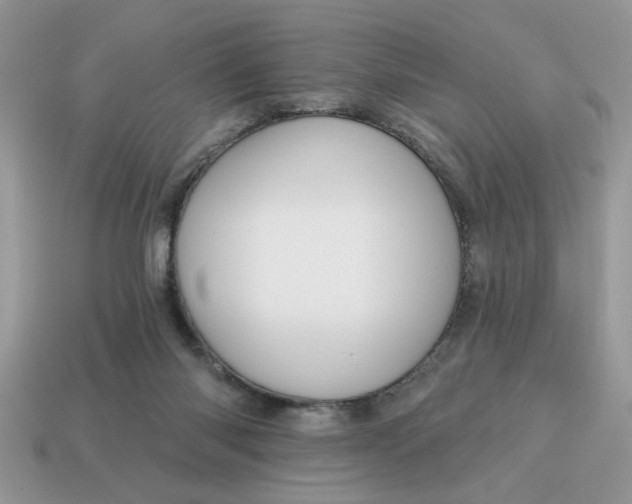 X0000115030118200911091351