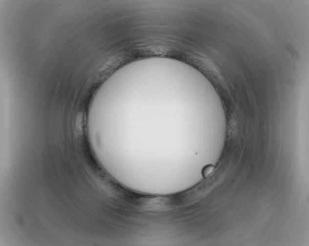 X0000115030122200911091351