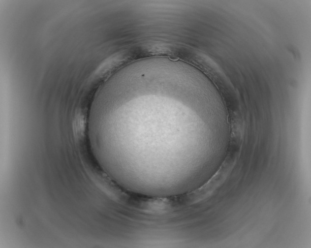 X0000115030124200911091351