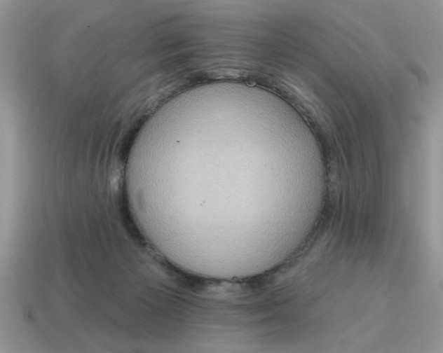 X0000115030125200911091351