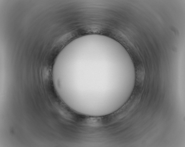 X0000115030126200911091351