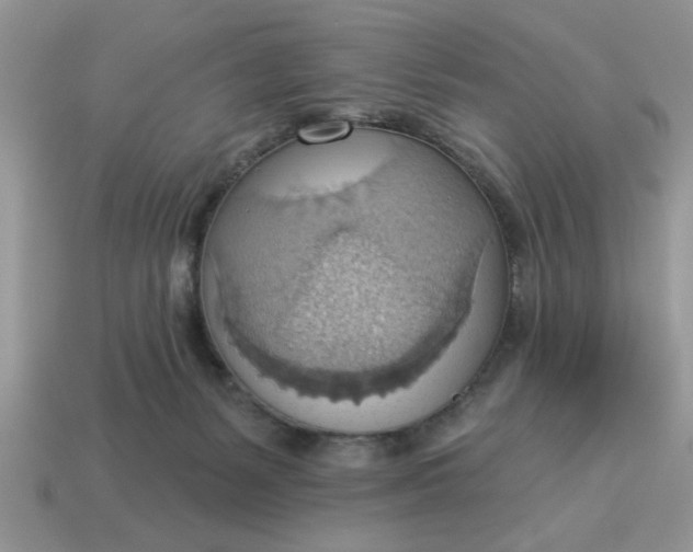 X0000115030127200911091351