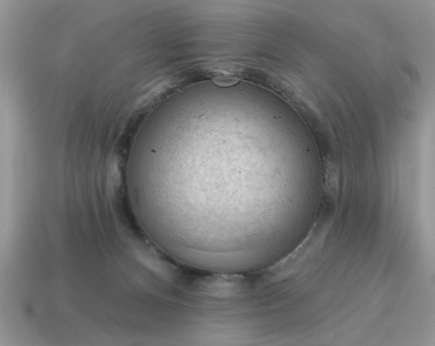 X0000115030128200911091351