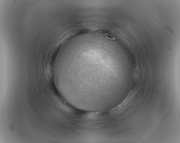 X0000115030136200911091351