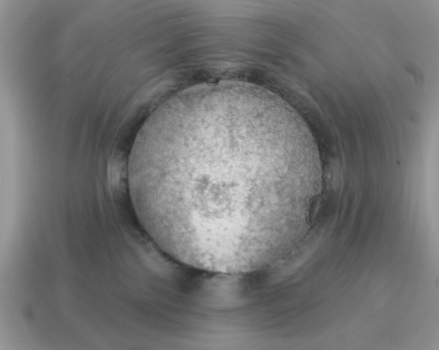 X0000115030138200911091351