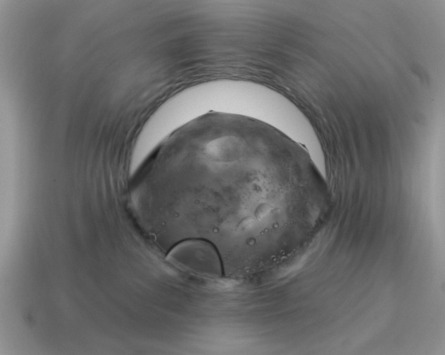 X0000115030139200911091351