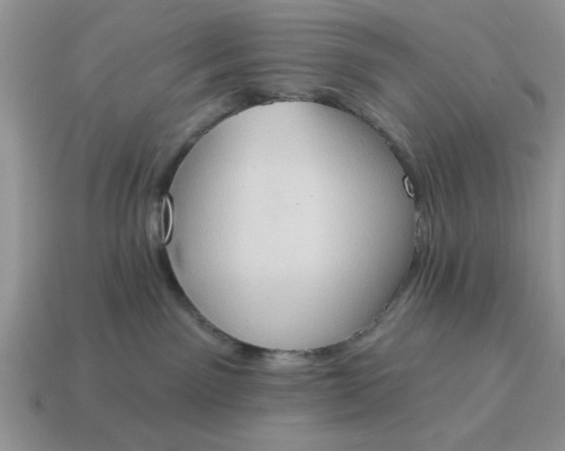 X0000115030141200911091351