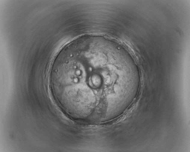 X0000115030145200911091350