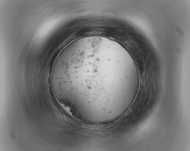 X0000115030146200911091350
