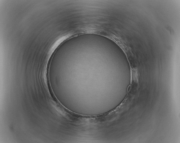 X0000115030147200911091350