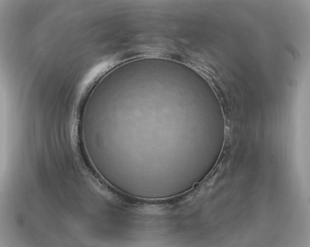 X0000115030149200911091350
