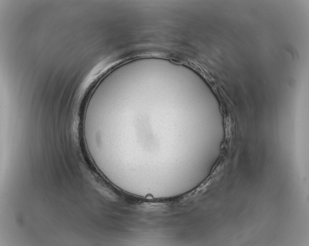 X0000115030150200911091350