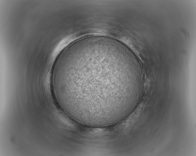 X0000115030151200911091350
