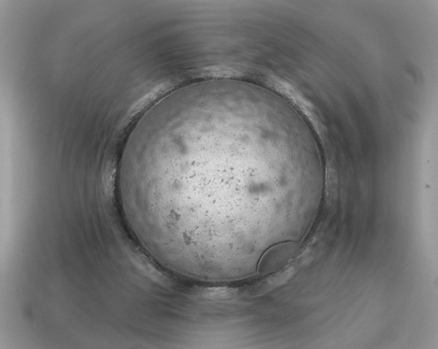 X0000115030153200911091350