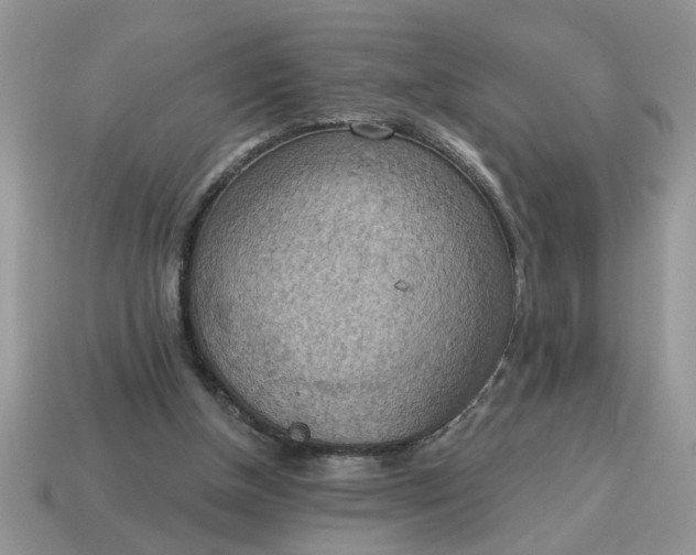 X0000115030154200911091350