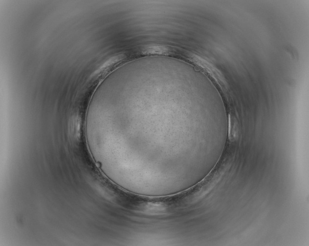 X0000115030157200911091350