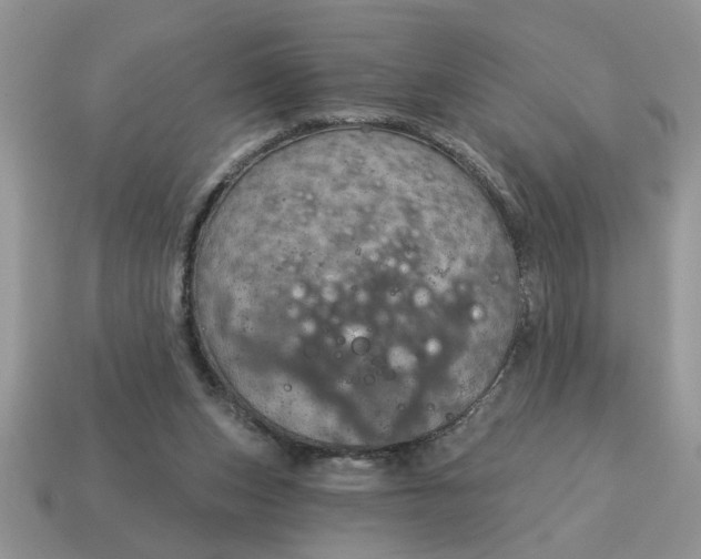 X0000115030159200911091350