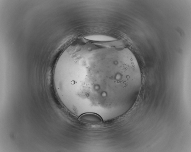 X0000115030163200911091350
