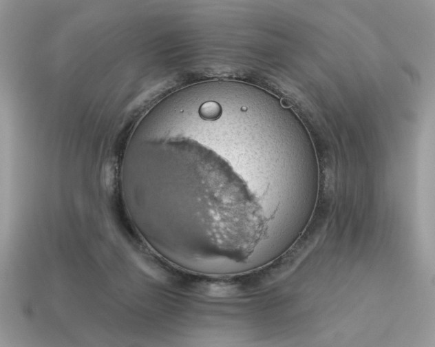 X0000115030165200911091350