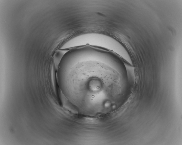 X0000115030167200911091350