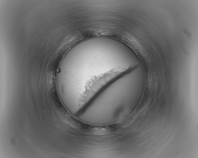 X0000115030169200911091350