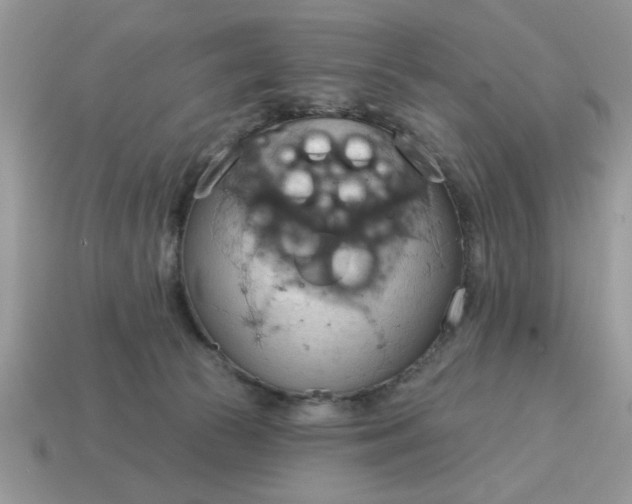 X0000115030177200911091351