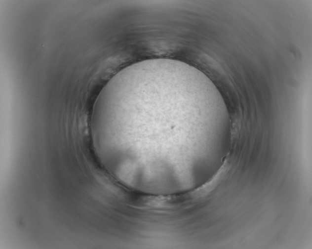 X0000115030182200911091351