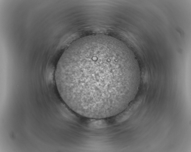 X0000115030185200911091351