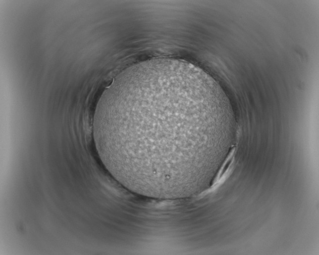 X0000115030186200911091351