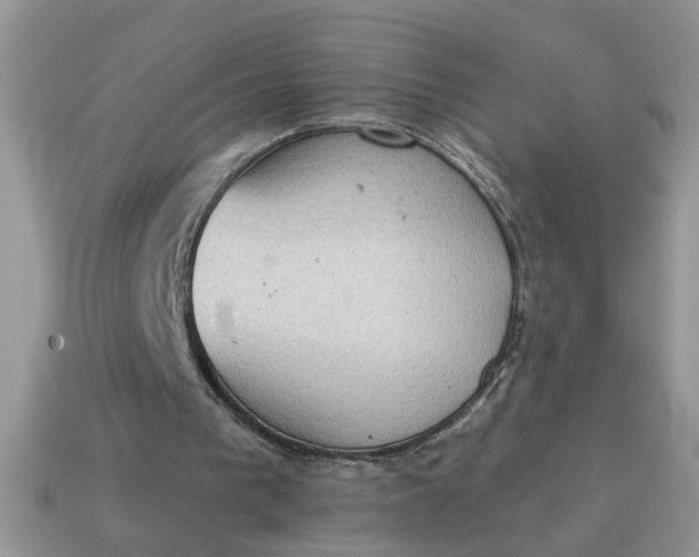 X0000115030193200911091350