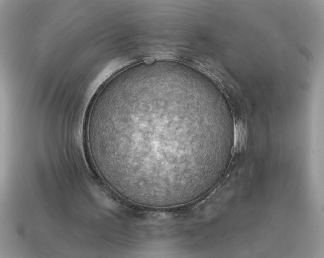 X0000115030195200911091350