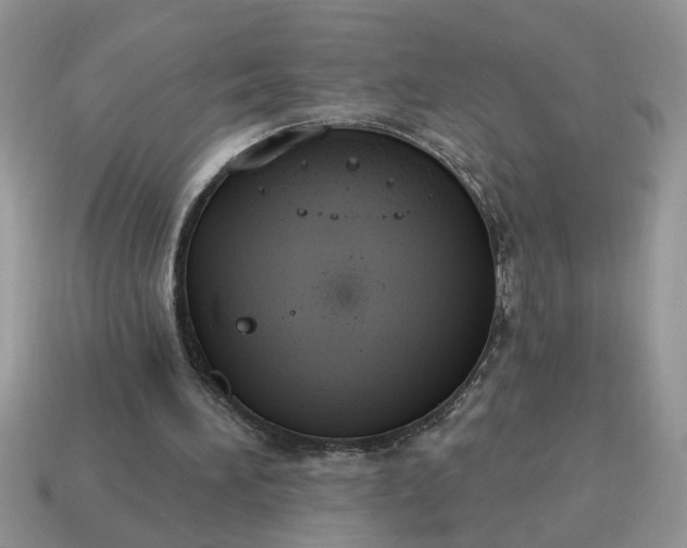 X0000115030196200911091350