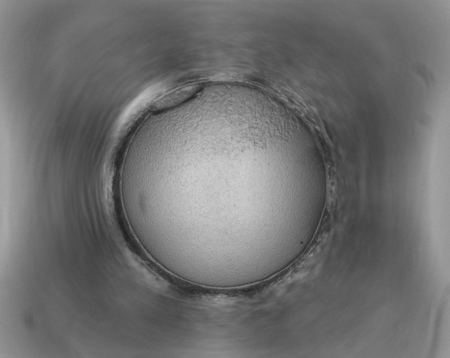 X0000115030197200911091350
