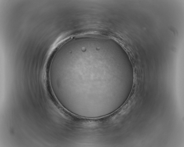 X0000115030198200911091350