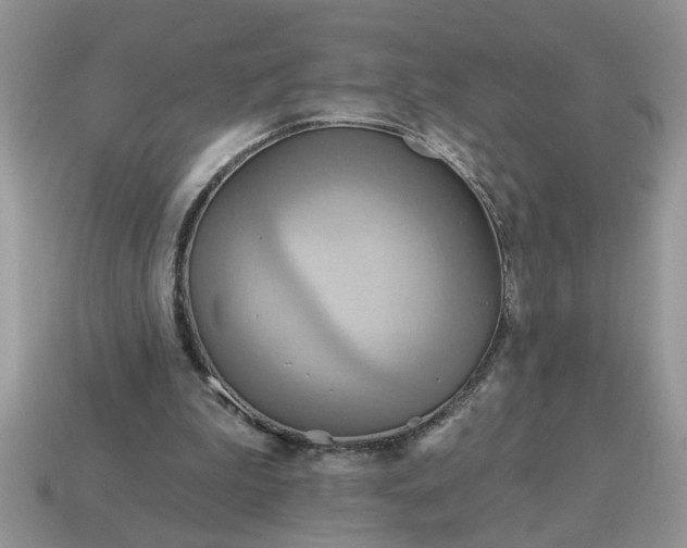 X0000115030199200911091350