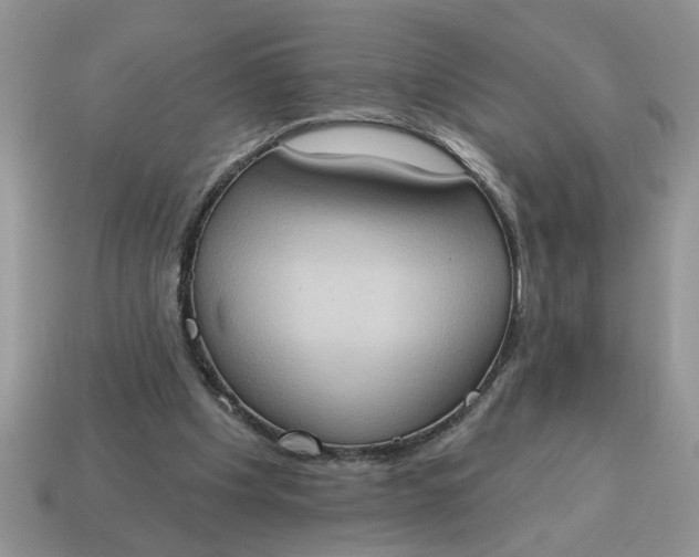 X0000115030201200911091350