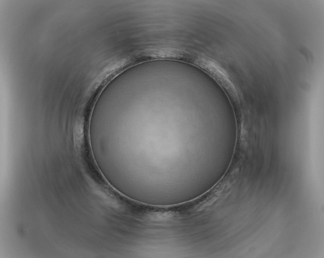X0000115030202200911091350