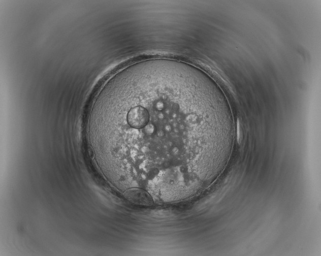 X0000115030204200911091350