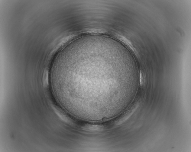 X0000115030205200911091350
