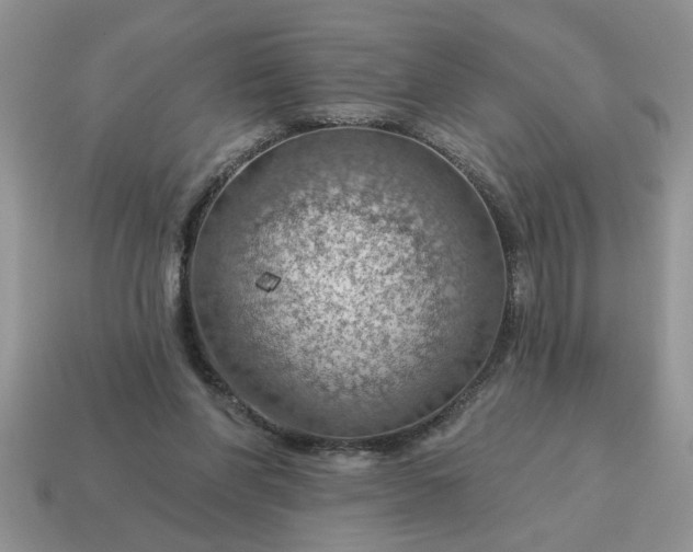 X0000115030206200911091350