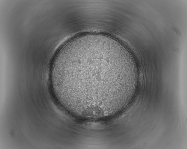 X0000115030208200911091350