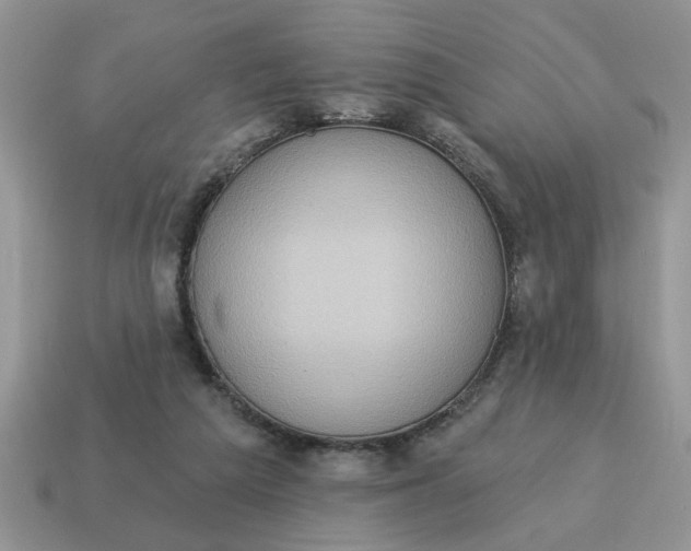 X0000115030209200911091350